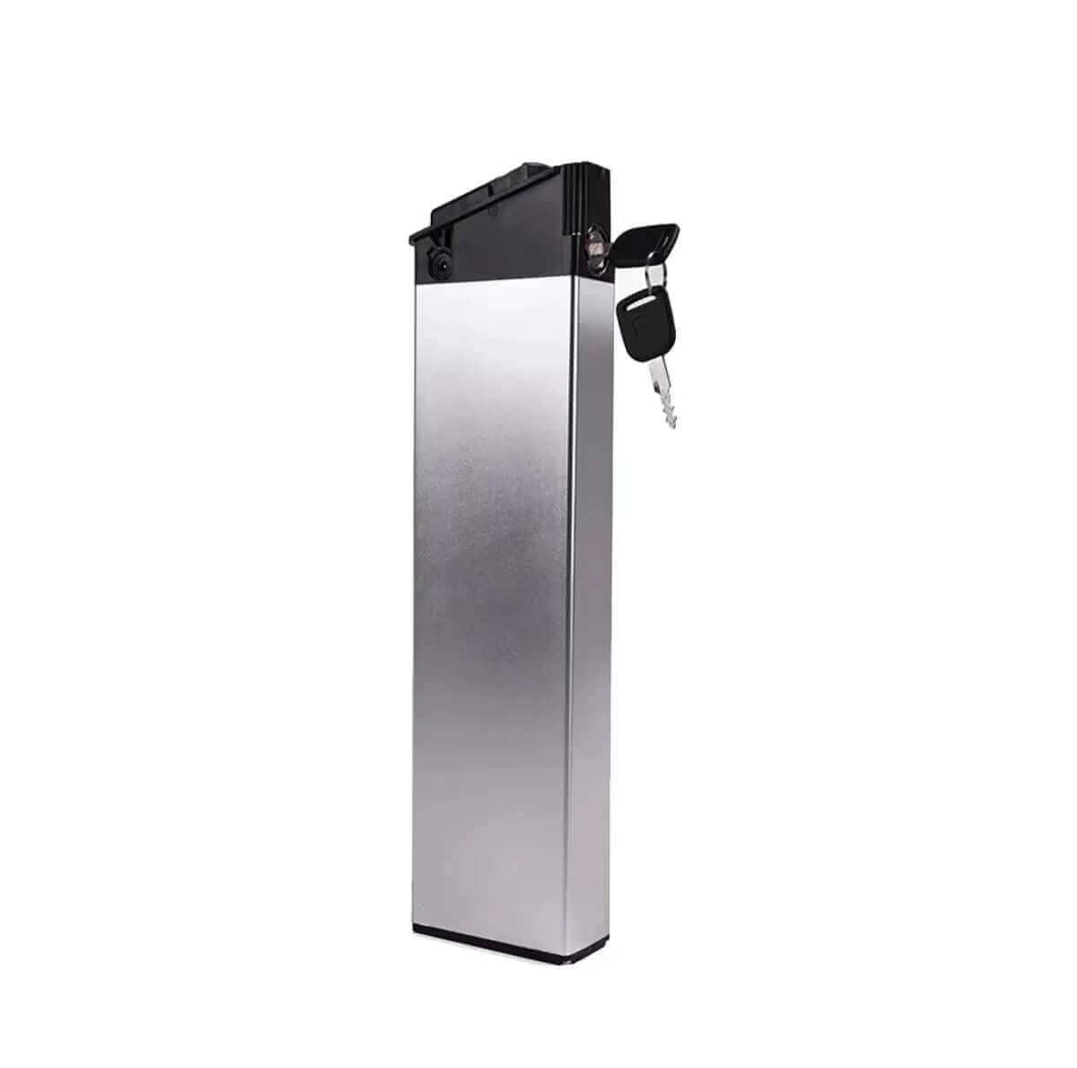Batterie NX/ONE/RX2.4 12,8 Ah