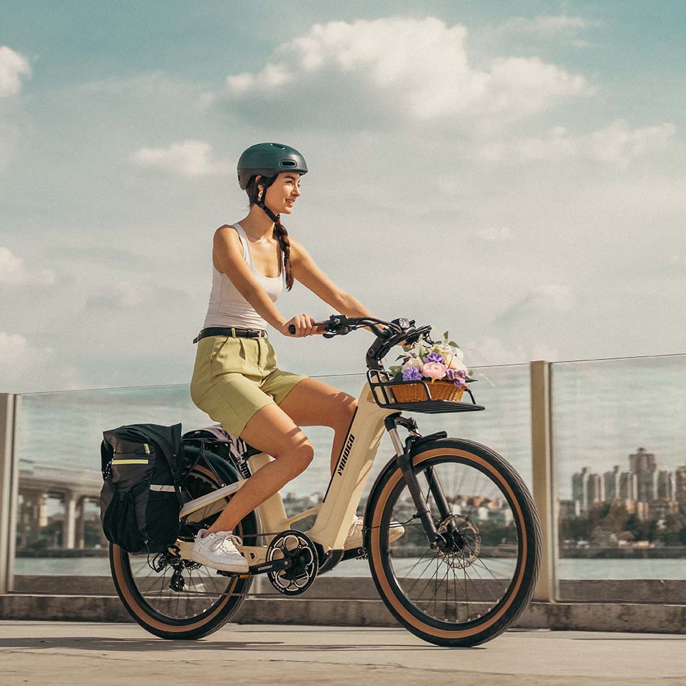 Mihogo Air Carbon-Elektrofahrrad