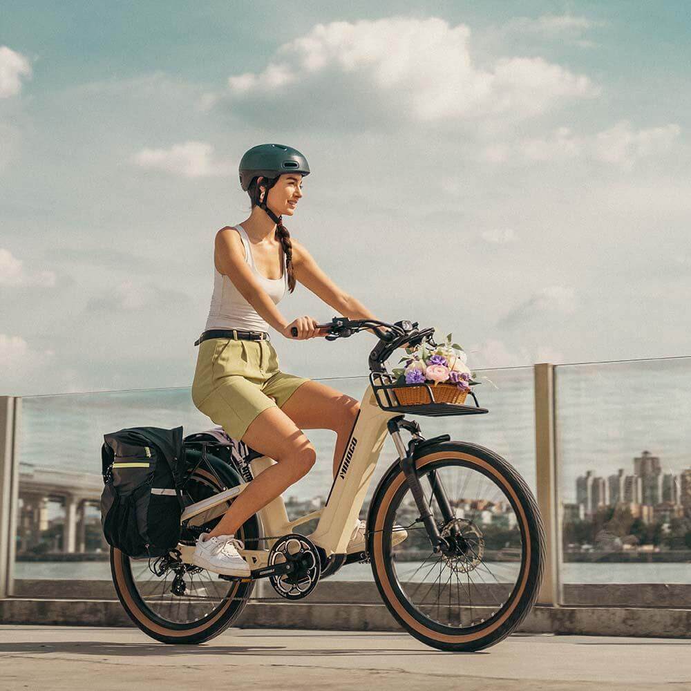Mihogo Air Carbon-Elektrofahrrad - 11