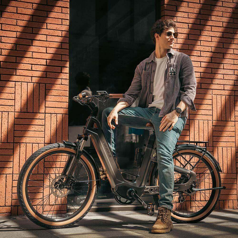 Mihogo Air Carbon-Elektrofahrrad